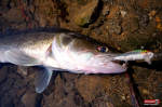 wobler-tournament--candat-2-150x100-1.jpg