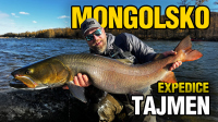 VIDEO: Expedice za tajmenem na mongolskou řeku Šiškid VIDEO: Expedice za tajmenem na mongolskou řeku Šiškid