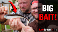 VIDEO: Big Bait! To je lov přívlačí na velké nástrahy | Přívlač Live #146