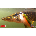 Přívlačový systém Iron Stinger System 2 Hooks REDBASS