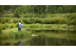 Ledvinka na brodění Switchback Pro FISHPOND
