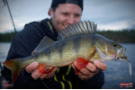 Smáček REDBASS ALS