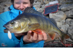 Smáček REDBASS ALS
