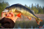 Smáček REDBASS ALS