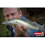 Velký smáček REDBASS BIG ONE 5