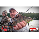 Velký smáček REDBASS BIG ONE 5