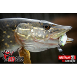 Velký smáček REDBASS BIG ONE 5