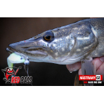 Velký smáček REDBASS BIG ONE 5