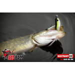 Velký smáček REDBASS BIG ONE 5