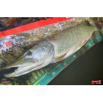 Velký smáček REDBASS BIG SNAKE XXL