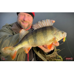 Cikáda Metal Vib Daiwa Prorex 4,3 cm, 10 g