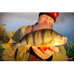 Cikáda Metal Vib Daiwa Prorex 4,3 cm, 10 g