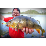 Cikáda Metal Vib Daiwa Prorex 4,3 cm, 10 g