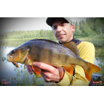 Cikáda Metal Vib Daiwa Prorex 4,3 cm, 10 g