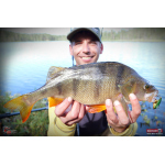 Cikáda Metal Vib Daiwa Prorex 4,3 cm, 10 g