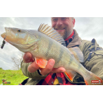 Cikáda Metal Vib Daiwa Prorex 4,3 cm, 10 g