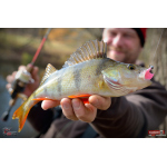 Jigstreamer Marabou REDBASS 2 g