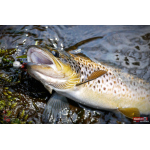 Jigstreamer Marabou REDBASS 2 g