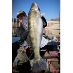 Ripper REDBASS KICKER L - 100 mm