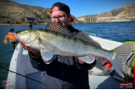 Ripper REDBASS KICKER L - 100 mm