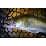 Ripper REDBASS KICKER L - 100 mm