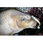 Ripper REDBASS KICKER L - 100 mm