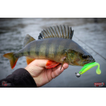Ripper REDBASS KICKER L - 100 mm