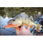 Ripper REDBASS KICKER L - 100 mm