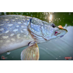 Ripper REDBASS KICKER L - 100 mm