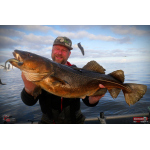 Ripper REDBASS KICKER XXL - 200 mm