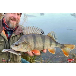 Twister REDBASS KIXTER L - 100 mm