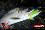 Ripper REDBASS MAGNETO S - 67 mm