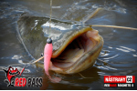 Ripper REDBASS MAGNETO S - 67 mm