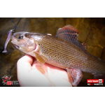 Ripper REDBASS MAGNETO XS - 53 mm