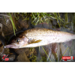 Ripper REDBASS MAGNETO XS - 53 mm