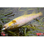 Ripper REDBASS MAGNETO XS - 53 mm
