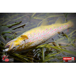 Ripper REDBASS MAGNETO XS - 53 mm