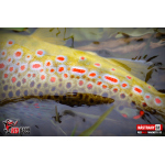 Ripper REDBASS MAGNETO XS - 53 mm