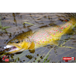 Ripper REDBASS MAGNETO XS - 53 mm