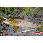 Ripper REDBASS MAGNETO XS - 53 mm