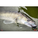 Nymfa REDBASS Nr. 1 XXL - 200 mm - 1 ks