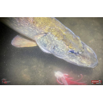 Nymfa REDBASS Nr. 1 XXL - 200 mm - 1 ks