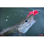 Nymfa REDBASS Nr. 1 XXL - 200 mm - 1 ks