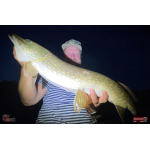 Nymfa REDBASS Nr. 1 XXL - 200 mm - 1 ks