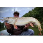 Nymfa REDBASS Nr. 1 XXL - 200 mm - 1 ks