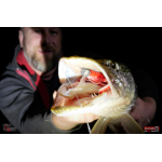 Nymfa REDBASS Nr. 1 XXL - 200 mm - 1 ks