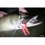 Nymfa REDBASS Nr. 1 XXL - 200 mm - 1 ks
