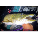 Nymfa REDBASS Nr. 1 XXL - 200 mm - 1 ks