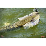 Nymfa REDBASS Nr. 1 XXL - 200 mm - 1 ks