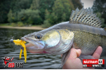 Nymfa REDBASS Nr. 1 L - 80 mm - balení 5 ks